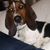 Chentel Ludwick's profile image