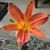 Kathy Donnelly Keating's profile image