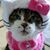 Kat Kat's profile image