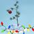 Mary Trafalski Terracina's profile image