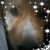 Amy Stevens's profile image