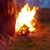 Heather Williams's profile image