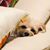 Amy McKee Fisher's profile image