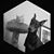 Sara Moreus Lund's profile image