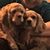 Ann Marie Gadley's profile image