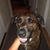 Jaci Cassidy's profile image
