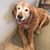 Lynn Campbell Jones's profile image