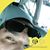Clementboyjr Leon's profile image