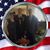 Toni Cranford's profile image