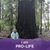 Kathy Morgan's profile image