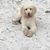 Kathy Rasmussen Floyd's profile image