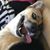 Elizabeth Bottarro's profile image