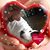 Costa Gus Drugas's profile image