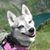 Tracie May's profile image