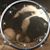 Sandra Tomsic's profile image