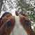 Takara Hein's profile image