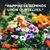 Loretta Bellanger's profile image