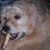 Joan O'Connor's profile image