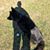 Rick Moyer's profile image