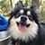 Shellie McGuffee's profile image