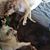 Diane Little-Heiss's profile image