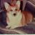 Beverly Dean's profile image