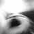 Chris Morrison's profile image