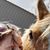 Megan Pratt's profile image