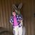 Susanne M Nangle's profile image