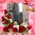 Marlena Acosta's profile image