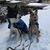 Deb Auer's profile image