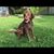 Janna Tolle's profile image