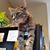 Katherine C. Lemke's profile image