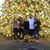 Sherice Amanda's profile image