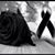 Briseyda Gutierrez's profile image