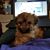 Doreen Mike Mezera's profile image