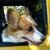 Morgan Filice's profile image