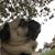 Karen Malloy Magnanao's profile image