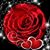 Averiann Ellis Casalman's profile image