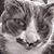 Anna Midkiff's profile image