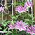 Robin Morgan Crandell's profile image