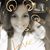 Sherry Rinaldi DeHart's profile image