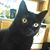 Michelle Phillips's profile image