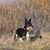 Emma Selk's profile image