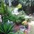 Eduin Efrain Ramirez's profile image