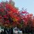 Bonny Penny McHenry's profile image