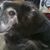 Donna Gilliland's profile image