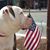 Lydia Trout Crise's profile image