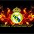Benjamin Bermudez Jr.'s profile image