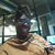 Donna M. Hale's profile image